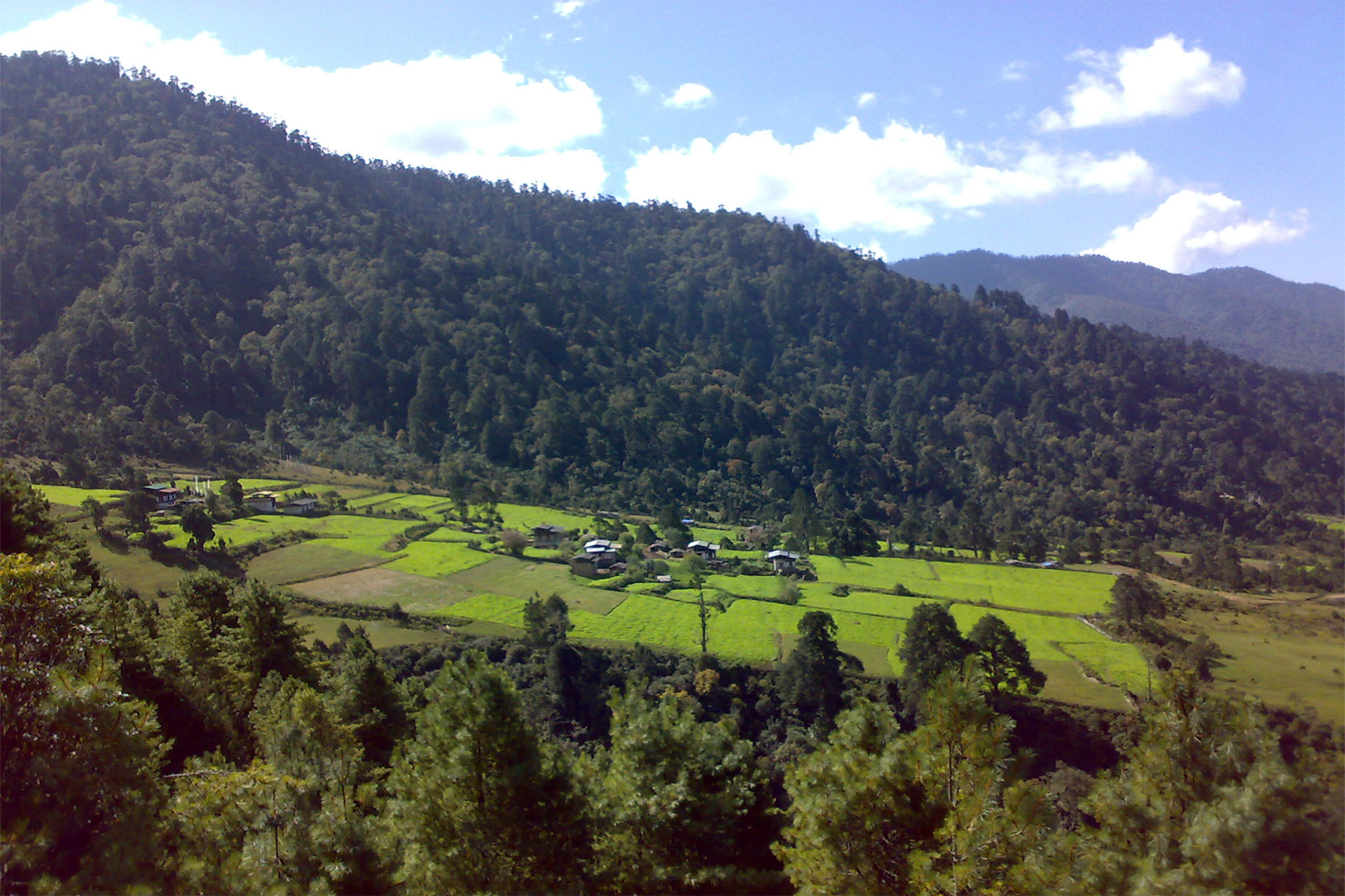 Best of Bhutan Tours