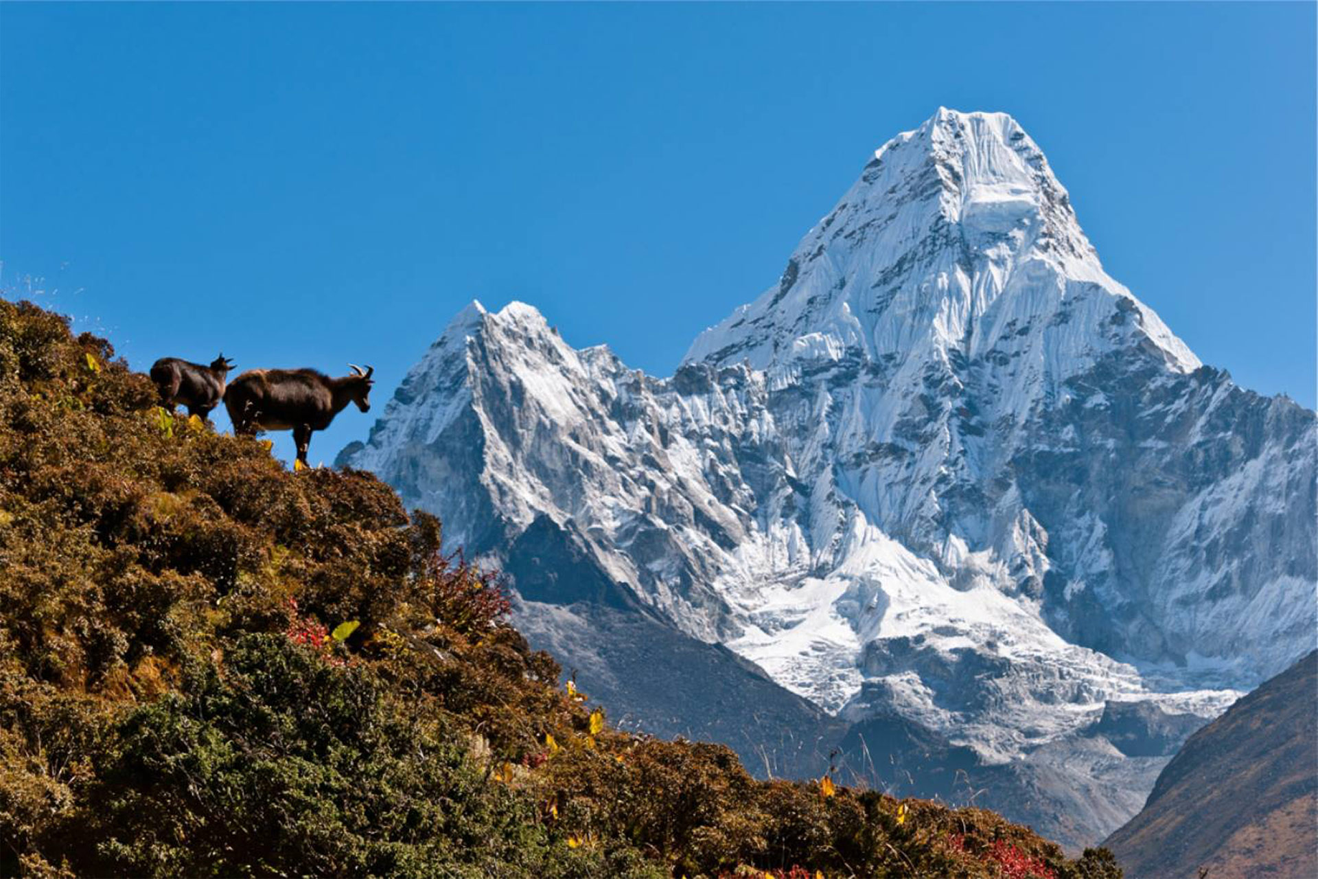 Everest Base Camp Trek 